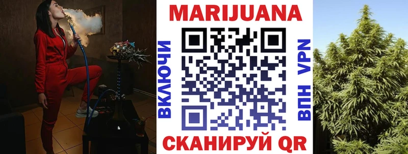 Купить где  Сясьстрой  Каннабис планчик 